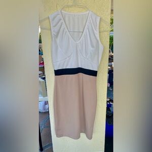 Elegant Sleeveless  Dress size small .